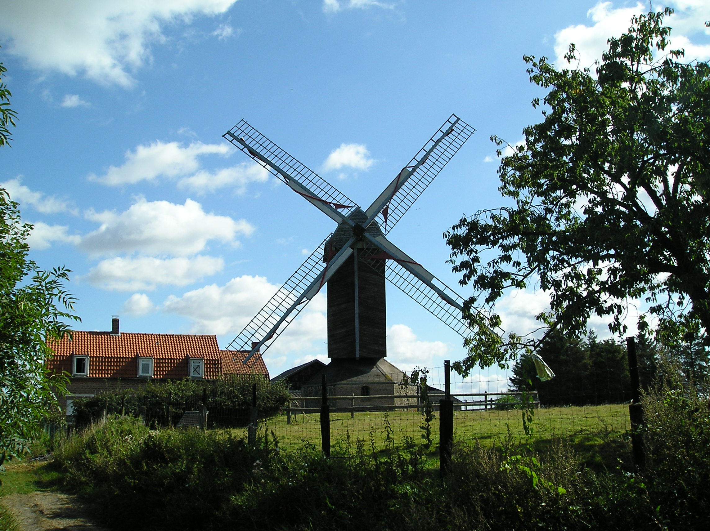 Houtkerque - Le moulin de l'Hofland